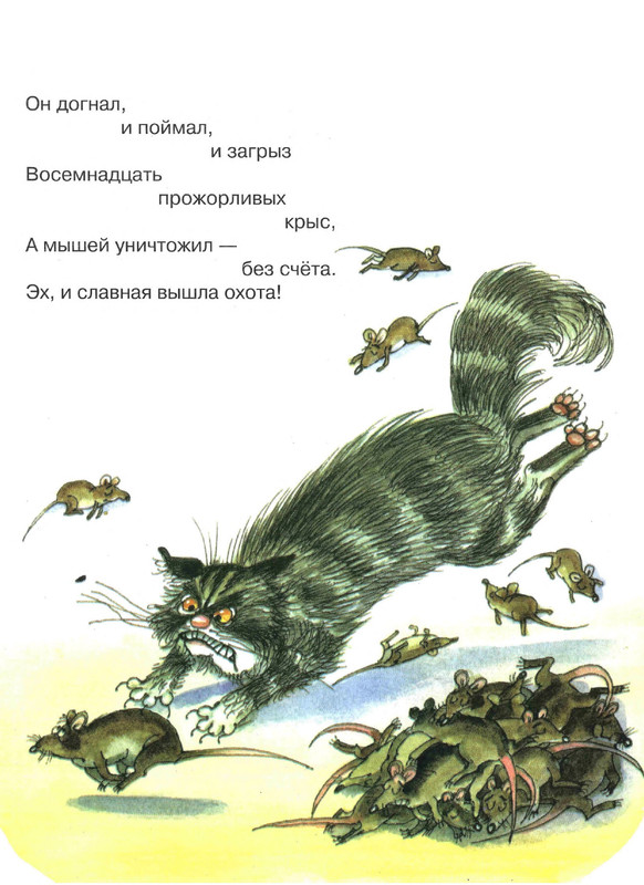 Serova-Jekaterina-Kak-kot-stal-Kotom-Kotofeichem-page-0018