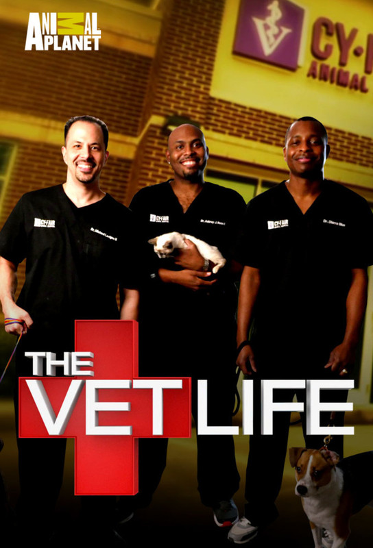 The Vet Life S06E04 Struggling Pug 1080p HDTV x264-CRiMSON The Vet Life S06E04 Struggling Pug 1080p HDTV x264-CRiMSON