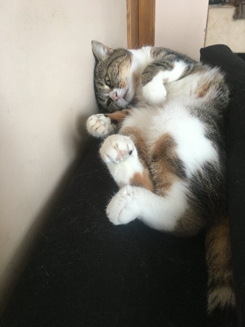 EB4-A52-FE-66-D8-40-A2-A560-E467159-DFAD