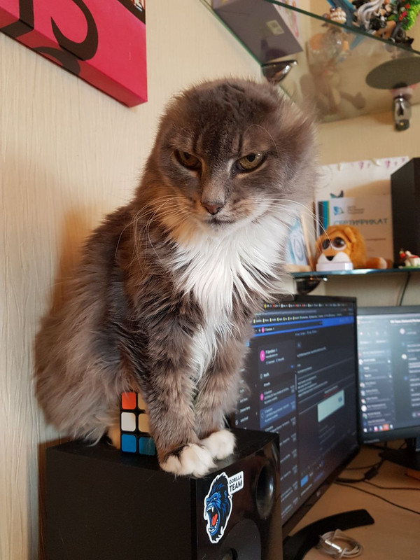 E9F61CDB-8AA5-4203-AF86-6DE094FB0D06