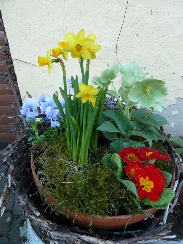 2013-04-12 Kübel