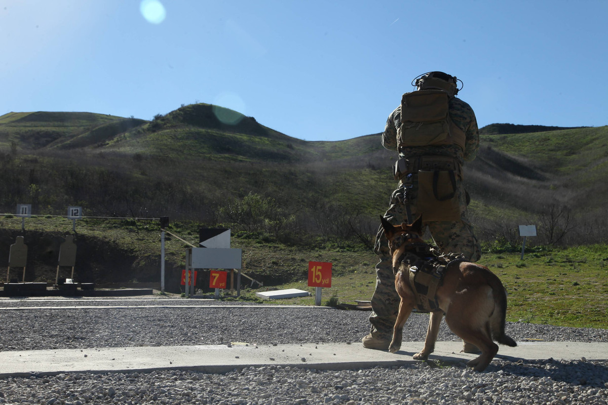 U.S. MARSOC multipurpose canine handlers6