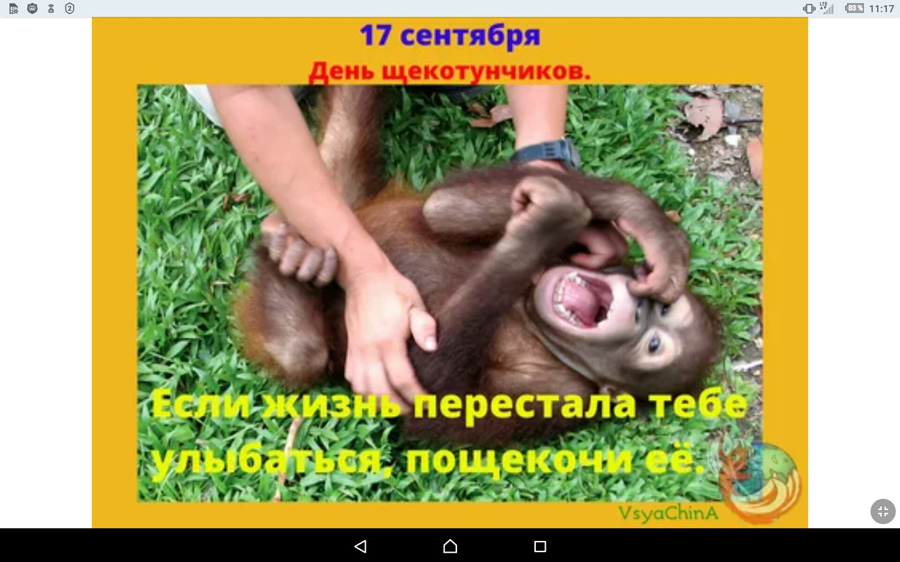 Screenshot_2022-09-17-11-17-46