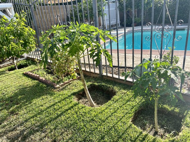 [Image: 83671864-A9-B9-4-B90-9-D6-B-99-FD7513890-A.jpg]