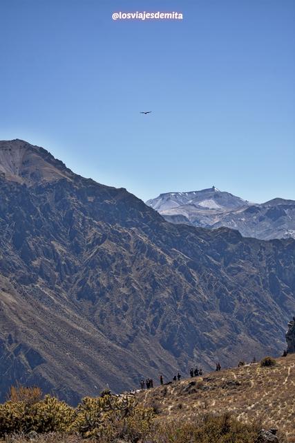 Día 9. Arequipa Cañon del Colca - El vuelo del Cóndor - 3 SEMANAS EN PERÚ del Amazonas a Machu Picchu 2019 (6)