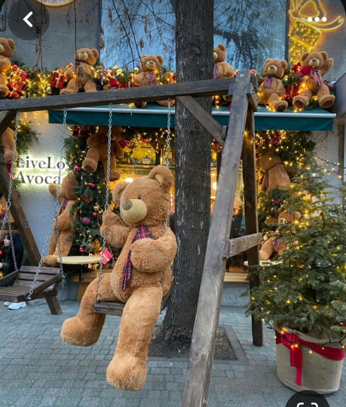 Screenshot_20231123_212044_Pinterest