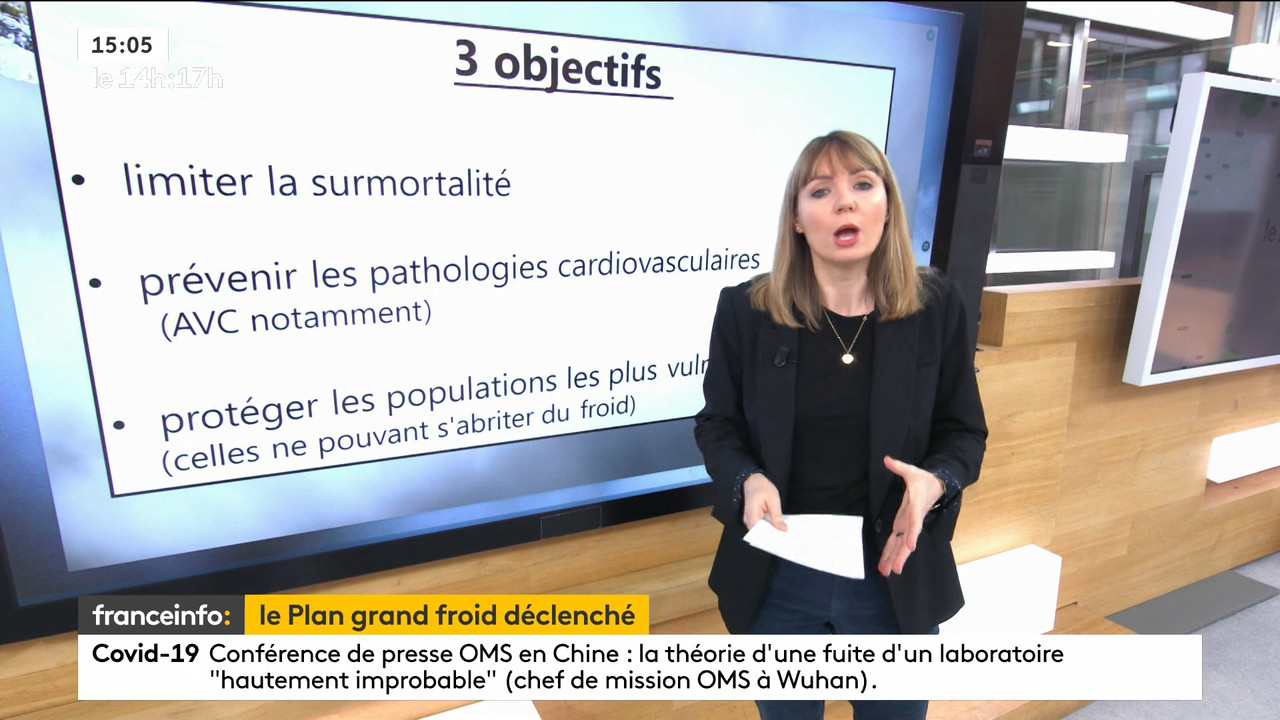 02.09 - 12.59.00 - Le 14h-17h. Au sommaire   Vrai ou fake. - francein..._001.ts_snapshot_00.35.416