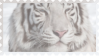 made by @transmascgarfield on tumblr