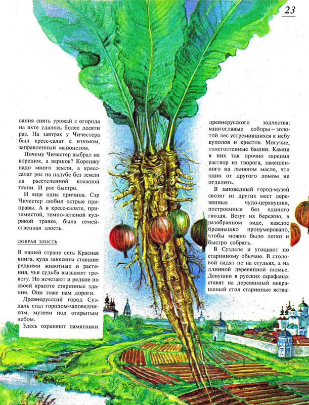 1994-page-0028