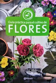 GUIA PRACTICA FLORES