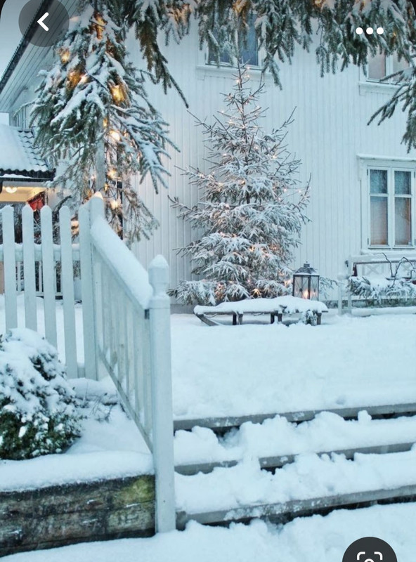 Screenshot_20231019_204312_Pinterest