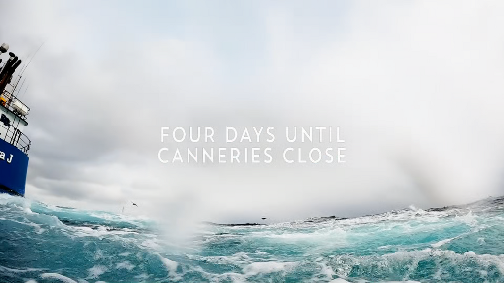 [Image: m5v6b5eey8kv.png]