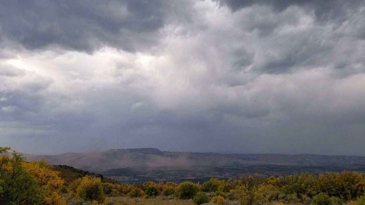 BA00D55E-DD5A-4CC5-B53E-8D42B472416B