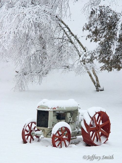 redtractorsnow.jpg