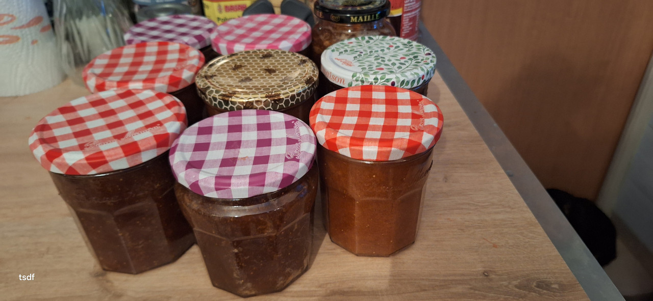 [Image: 20250602-194741.jpg]