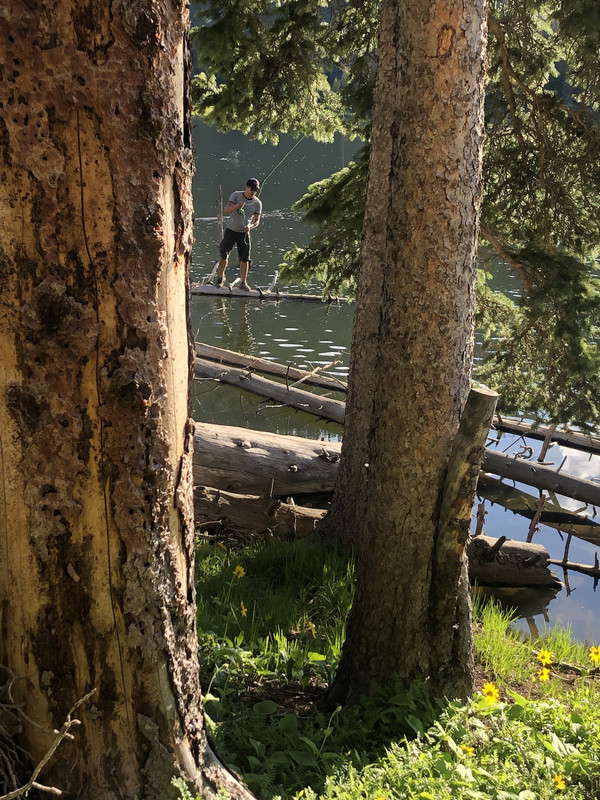 E85A5745-6D20-43F1-AF32-7DDE72B6EA17