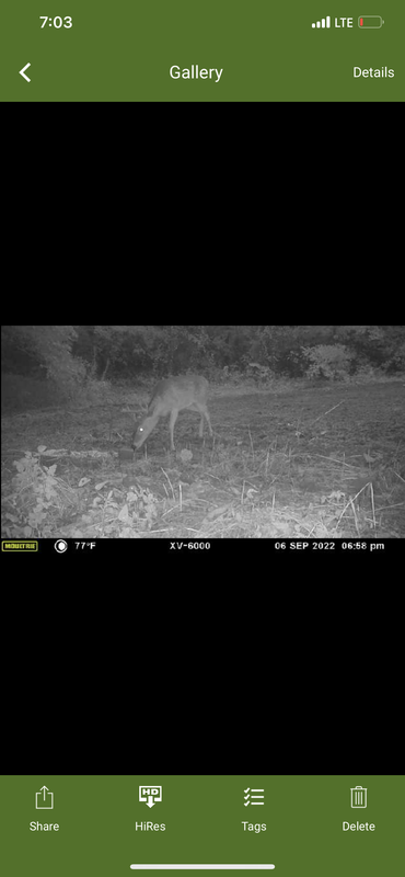 B65541A0-6A24-4051-9FBD-7AFE7FF9BAEC