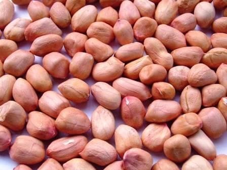 Raw Peanuts