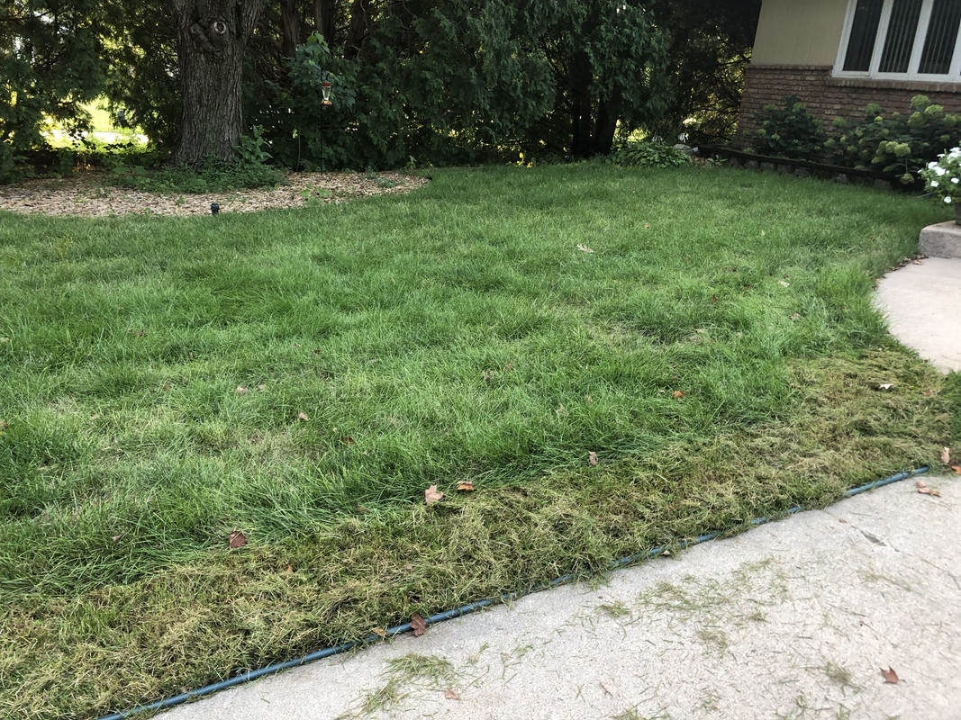 6BEDD449-07DA-46B9-BAF3-37DF935666AF