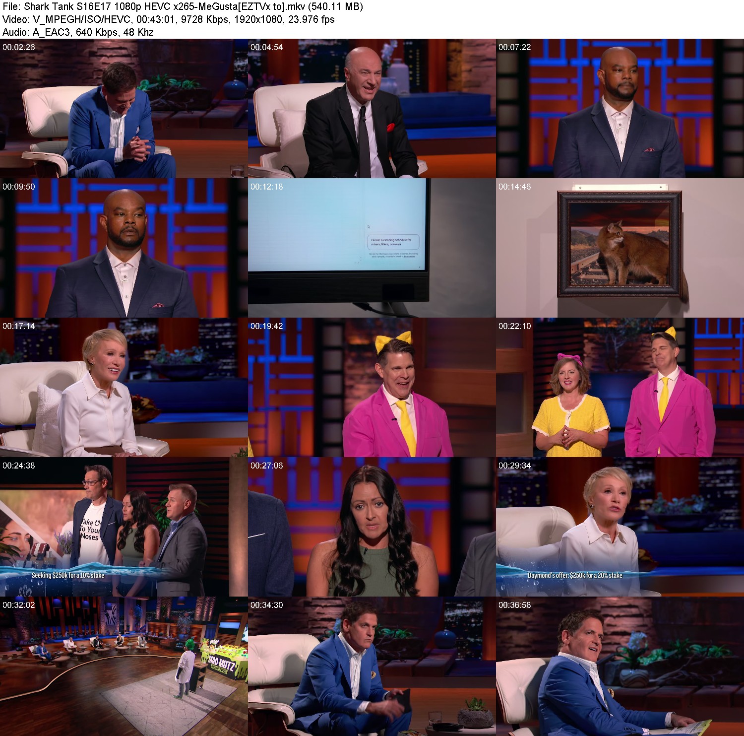 [Image: 3a3vv69ecqvl.jpg]