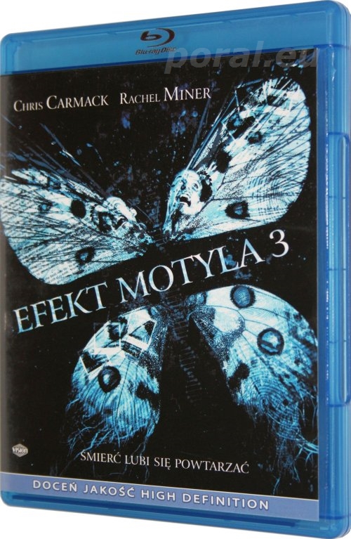 17685650894936952360024032423811