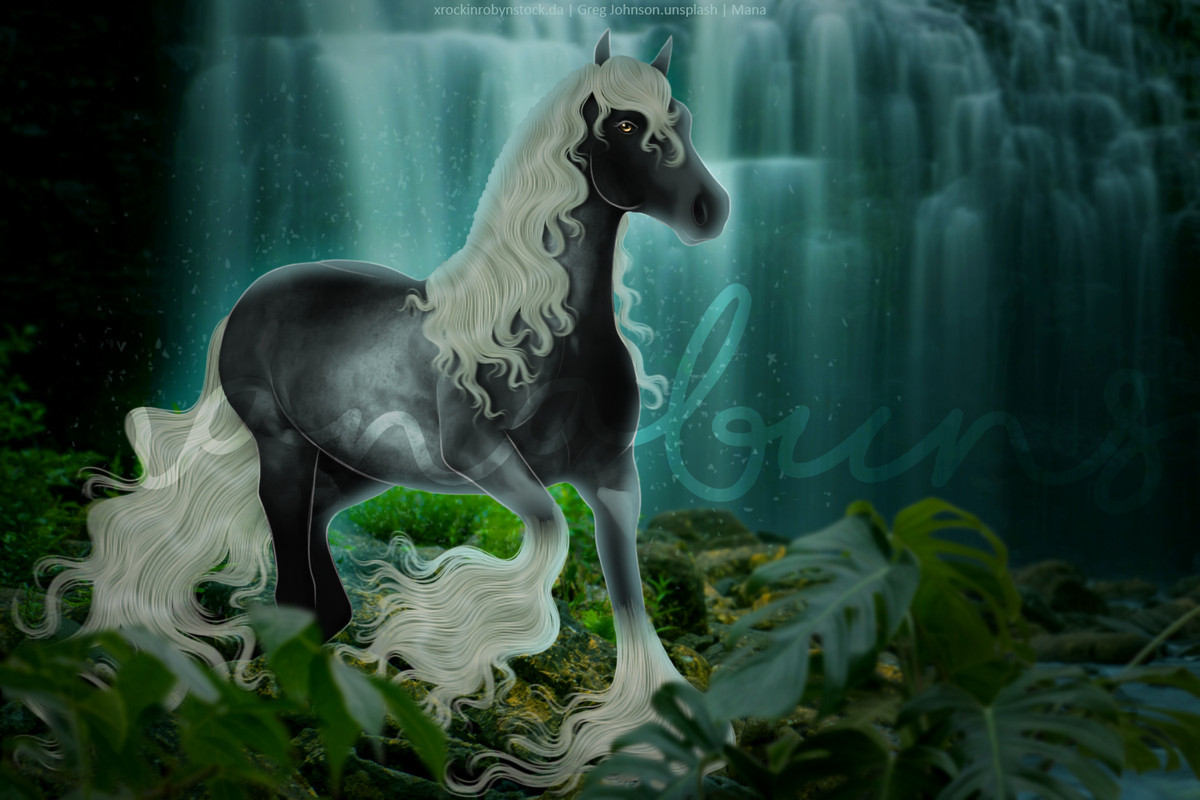 Chonk-Waterfall-DONEEE