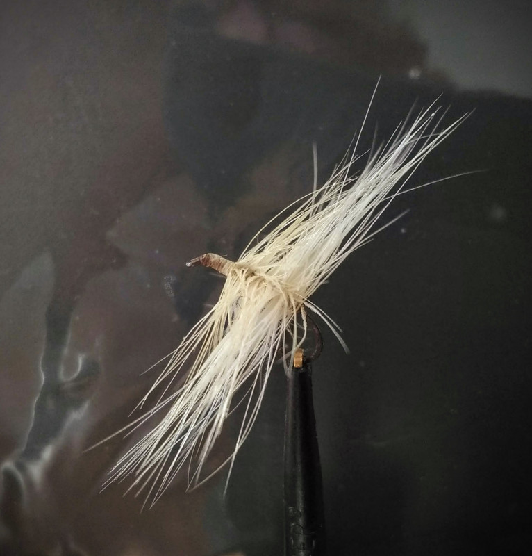 original 854b6a03 a543 4875 be73 a9b0dc3630e1 P 20210302 145746