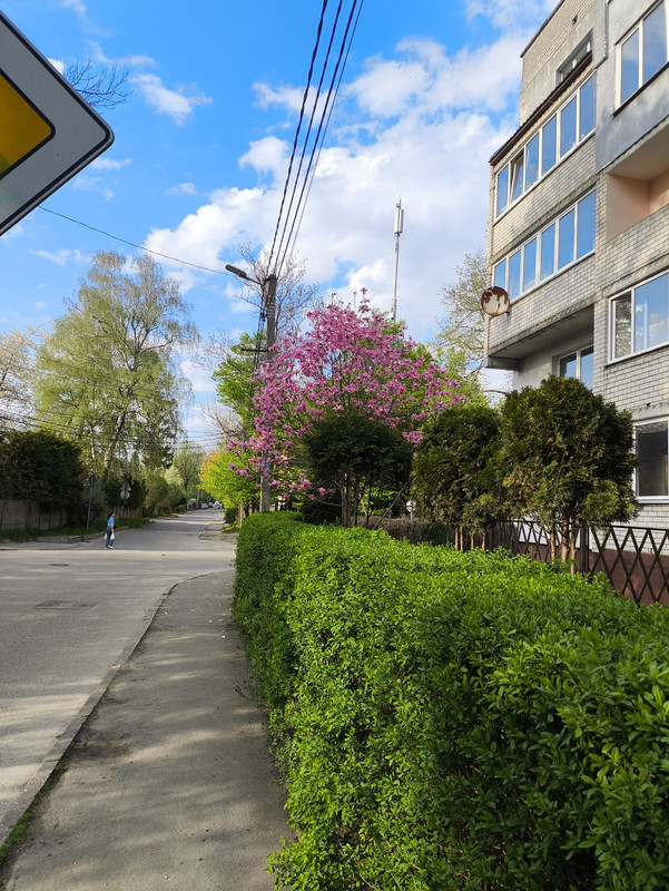 20 апреля 2025 027