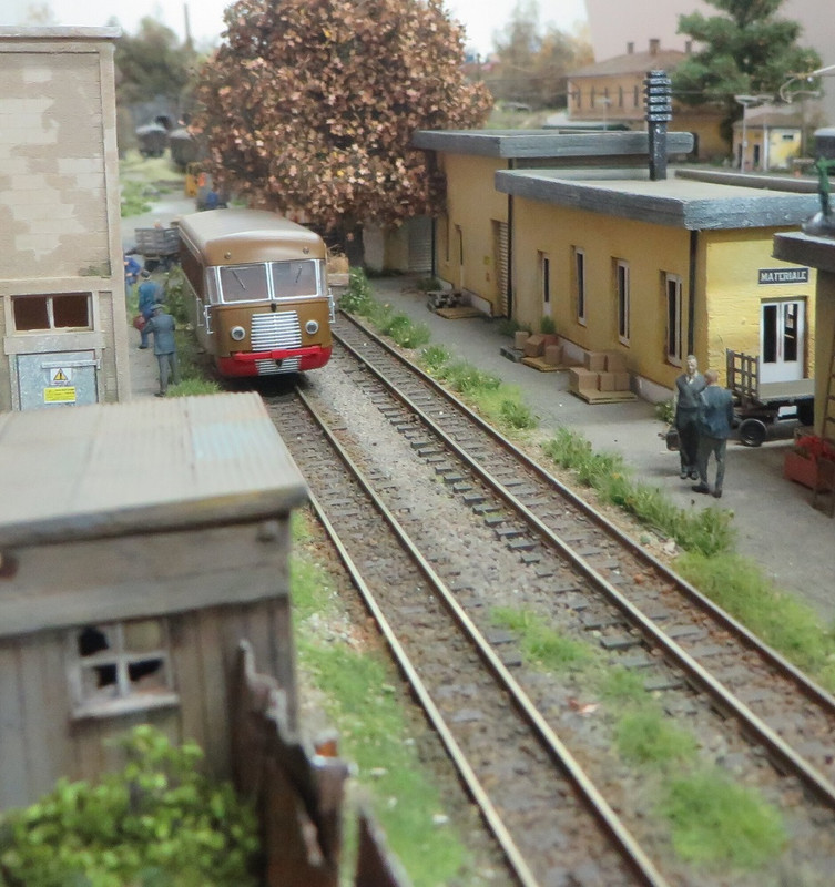 Alberi Boscoscuro giugno 2023 (27)