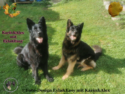 An den Beitrag angehängtes Bild: https://i.postimg.cc/h4HVnww7/04-10-2024-Willkommen-im-Oktober.gif