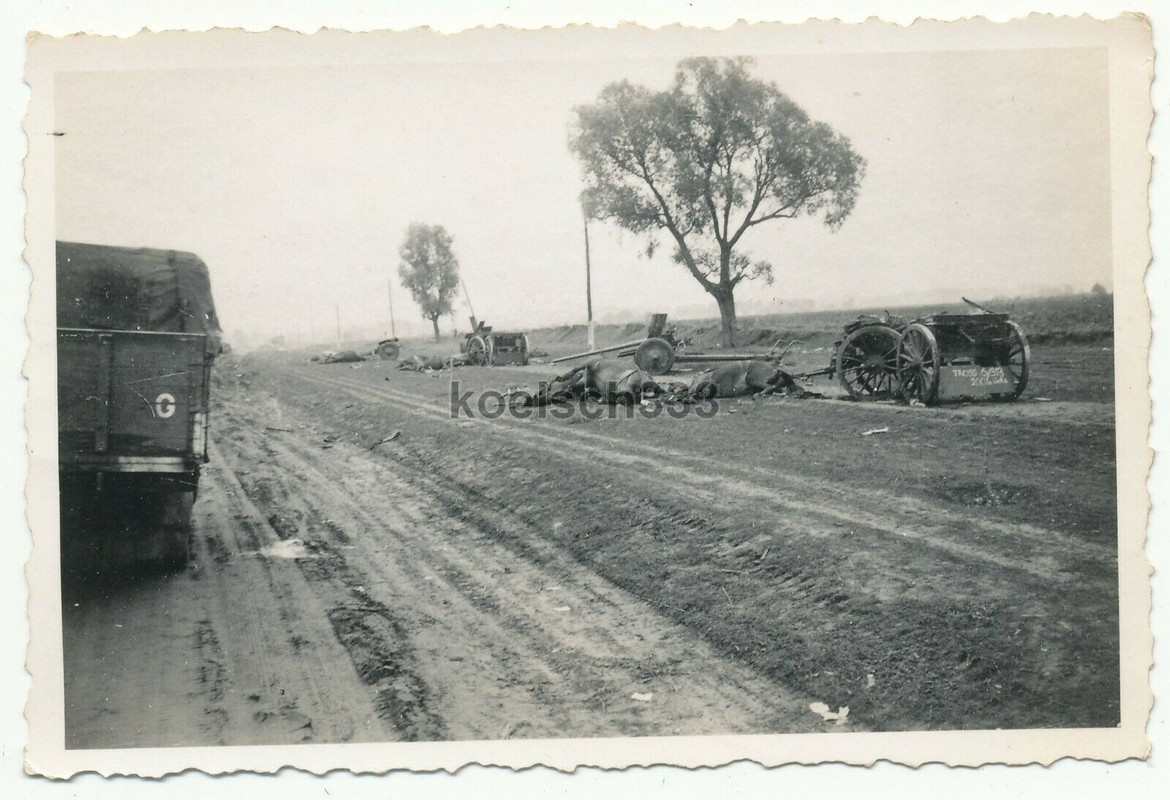 !Foto vernichteter russischer Artillerie Tross an der Ostfront Pferde Geschütze
