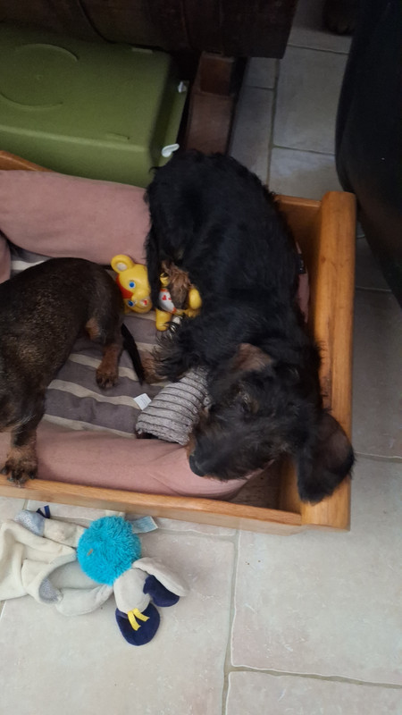 [Image: 20250710-104721.jpg]