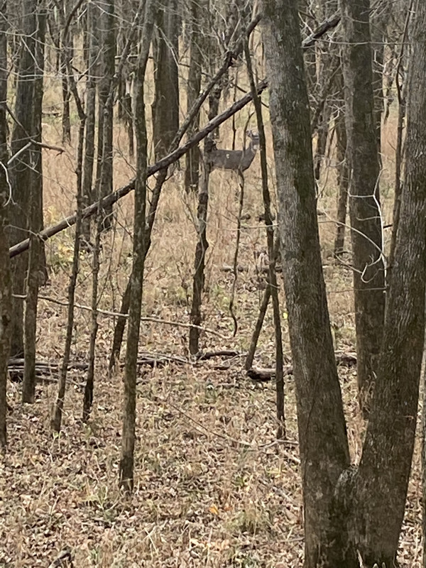 0DE00EE6-9FA4-4ACB-9F9D-11AC555A2E46