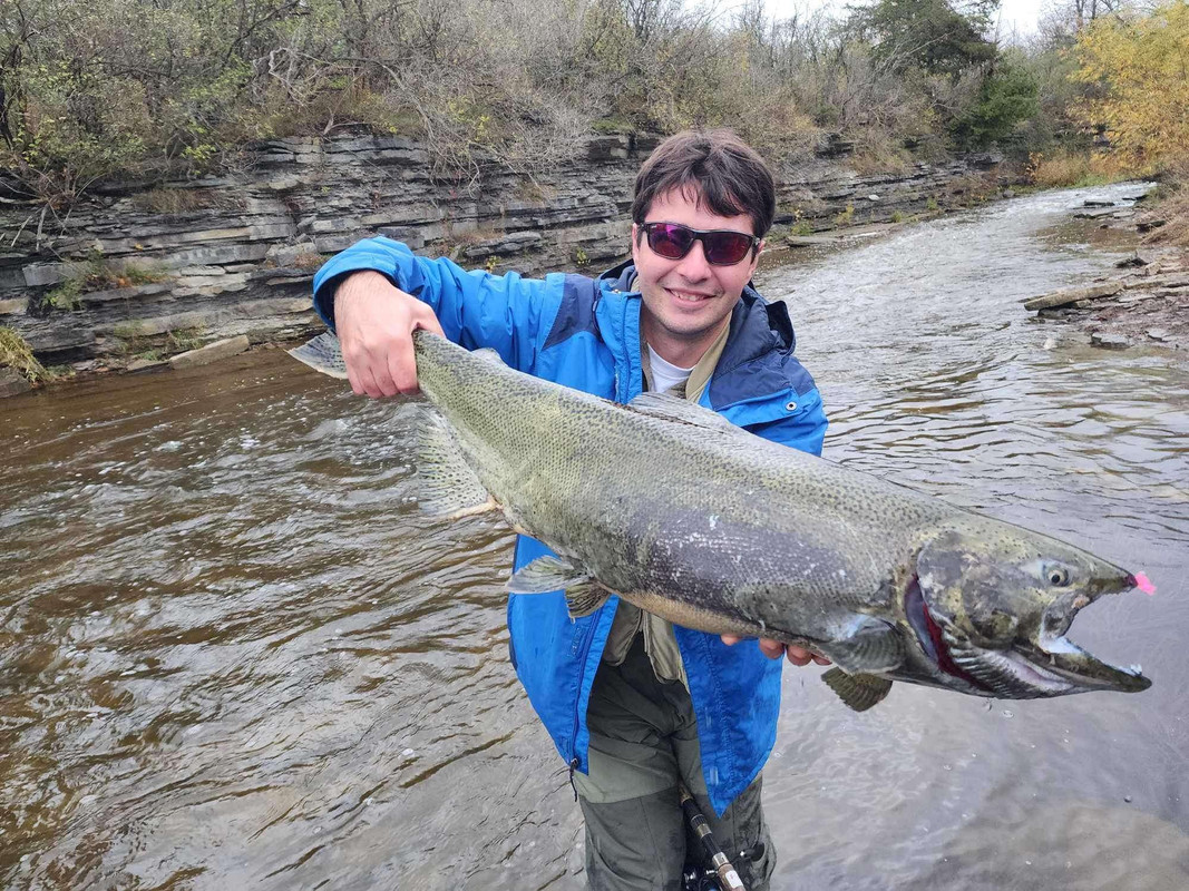 Facebook_creation_46231066