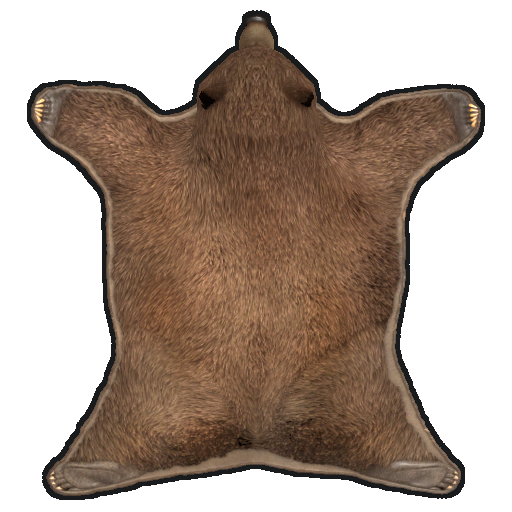 rug bear 512