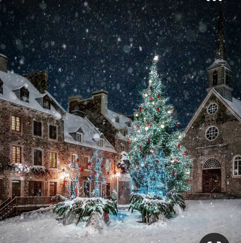 Screenshot_20231010_221939_Pinterest