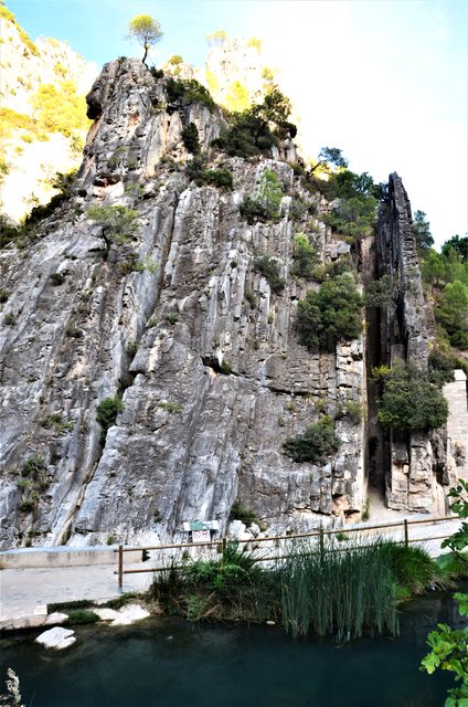 LA FONTCALDA-3-11-2016-TARRAGONA - Paseando por España-1991/2016 (20)