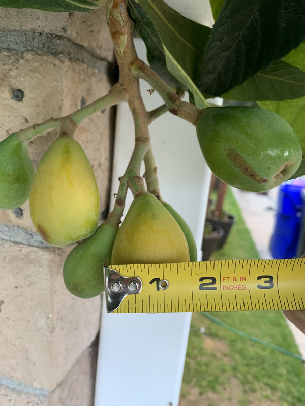 1ADD52E4-71F3-4A0F-AE83-EE64732CCF19