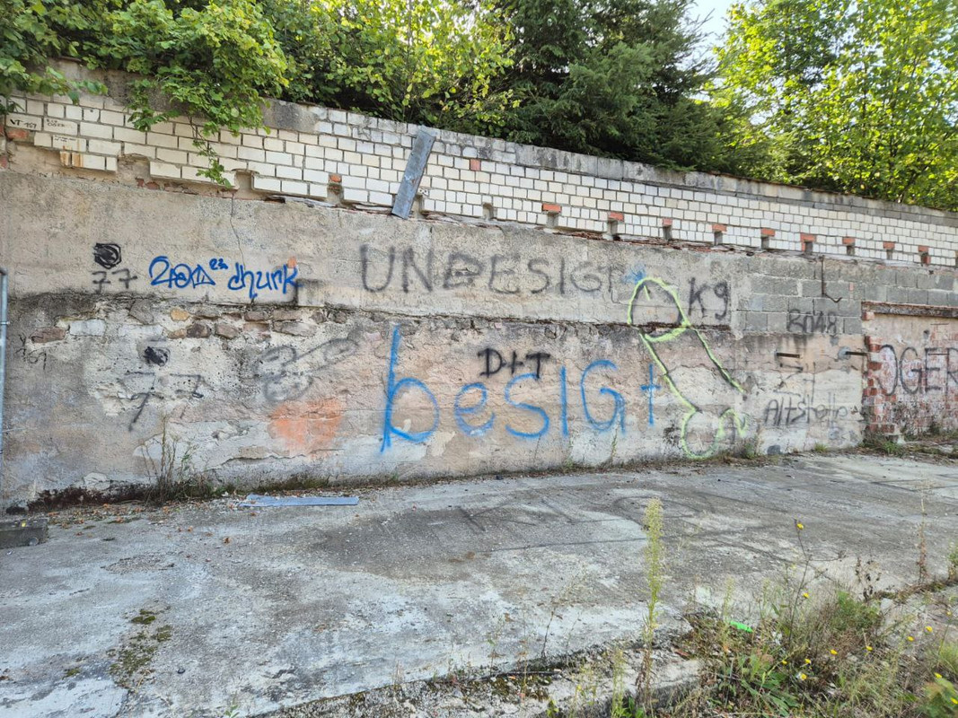 photo_5355242108765725189_y