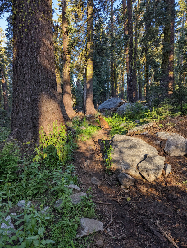 PXL_20250710_135330000