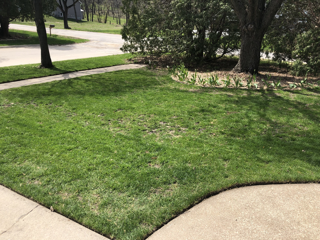 8718BEB3-2D57-47F9-B56E-8690CAB5BCC0