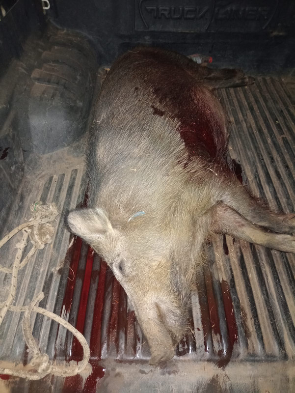 WhatsApp Image 2022-10-10 at 12.14.16