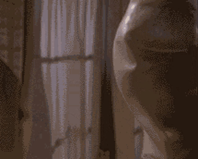 leislie-nielsen-condom.gif