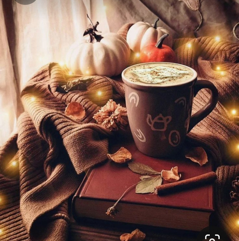 Screenshot_20231031_162916_Pinterest