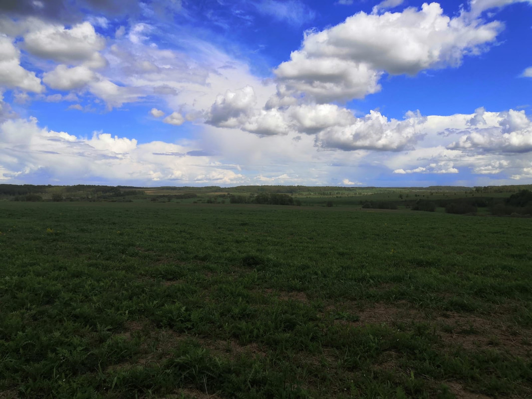 WhatsApp Image 2022-05-30 at 08.55.12 (1)