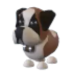St Bernard