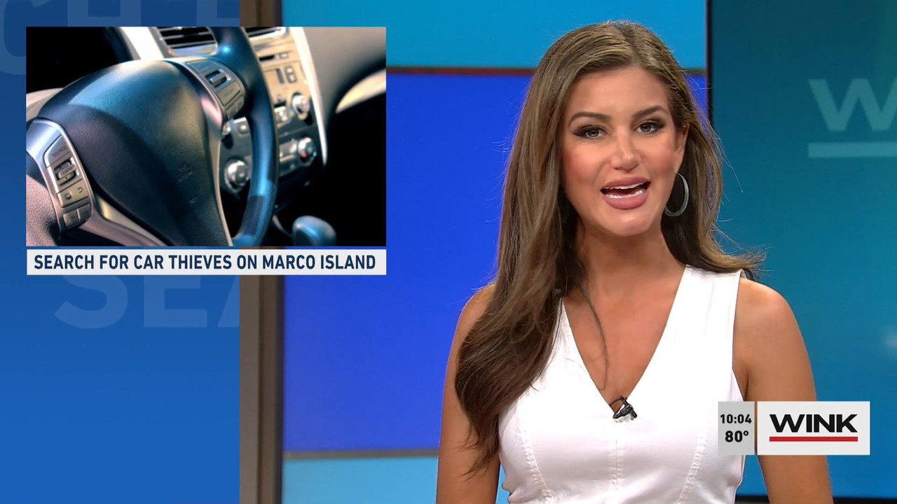 05.11 - 15.00.00 - WINK News at 10 00 a.m..ts_snapshot_04.53_[2021.05.11_18.08.00]