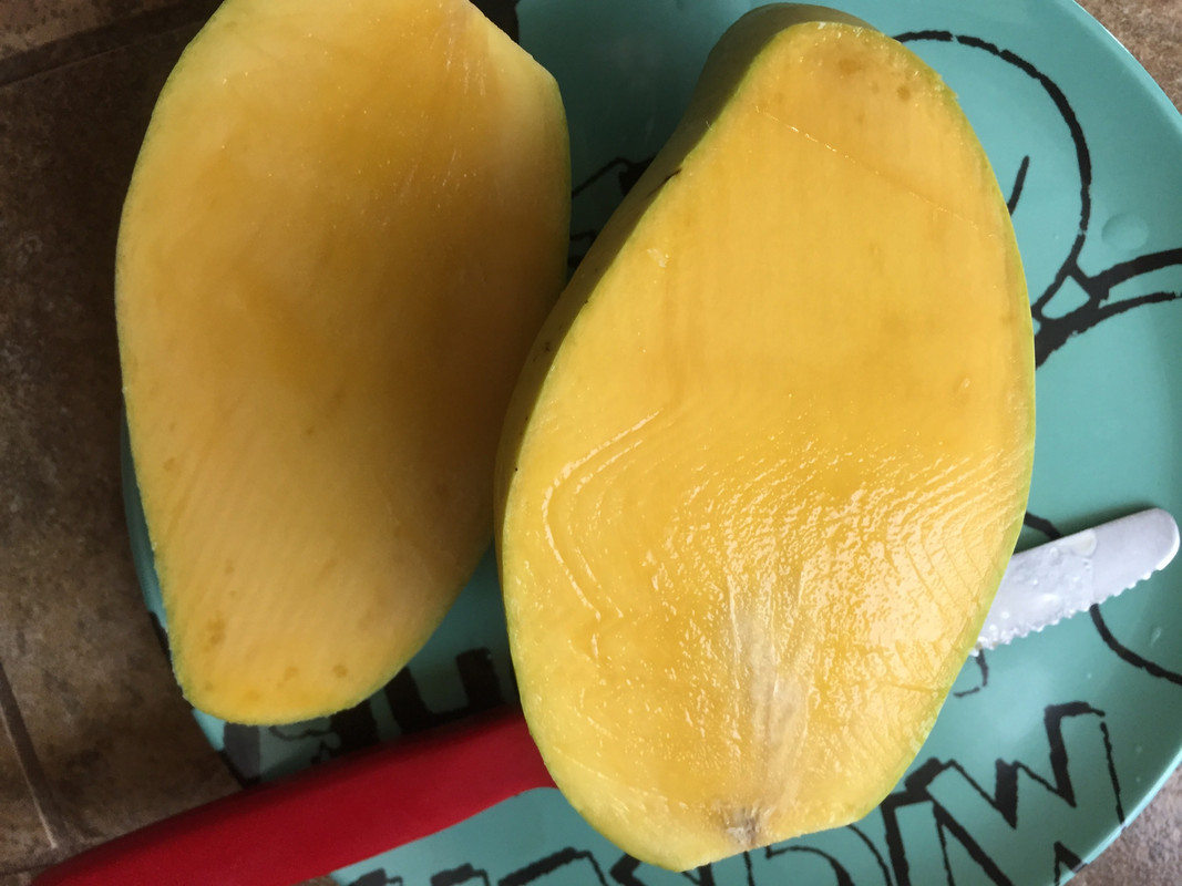 01288998-5990-4739-9956-D265A569D810