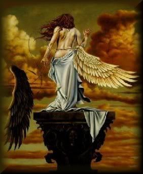 broken-wings94