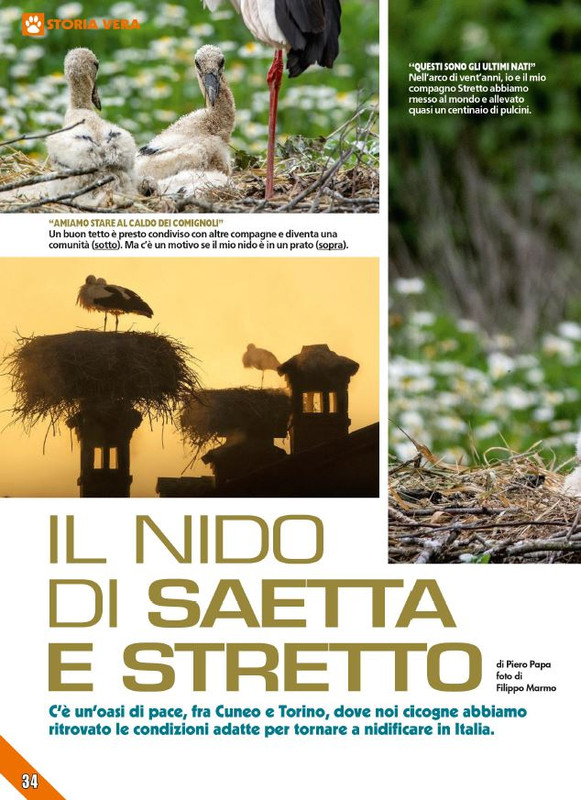 Foc Wil - Lug 2024 (3)